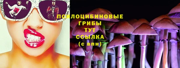 сатива Мегион