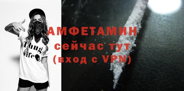 сатива Мегион