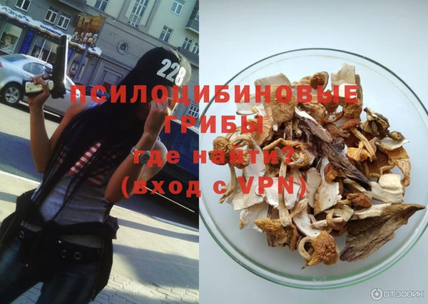сатива Мегион