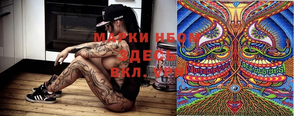 сатива Мегион