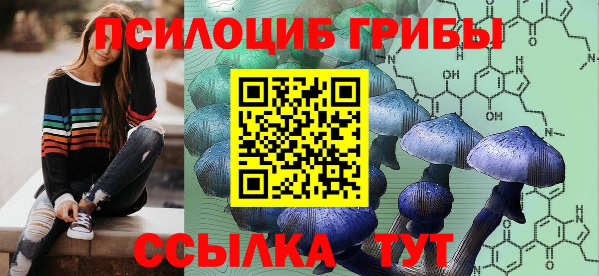 купить наркотики сайты  Курск  Галлюциногенные грибы ЛСД  Псилоцибиновые грибы MAGIC MUSHROOMS 