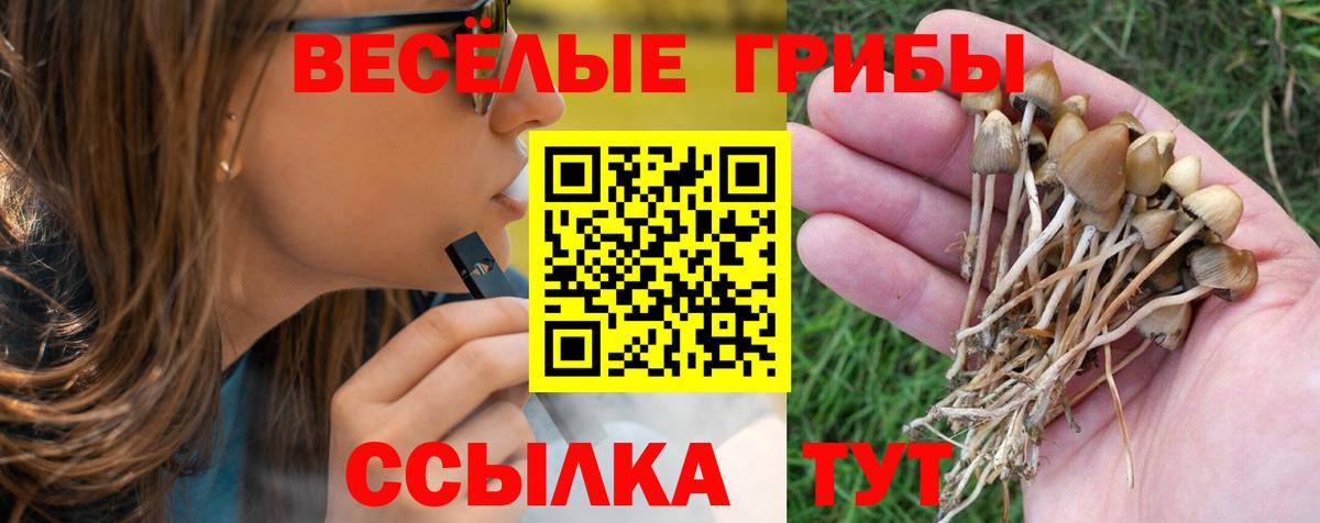 Псилоцибиновые грибы мицелий Курск